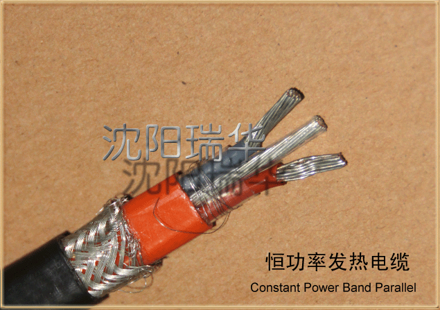 ���㹦�ʰl����|